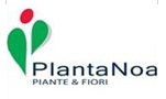 Planta Noa